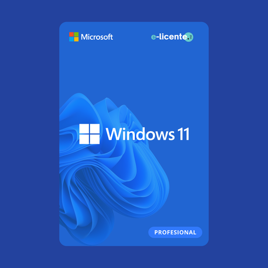 Windows 11 Pro